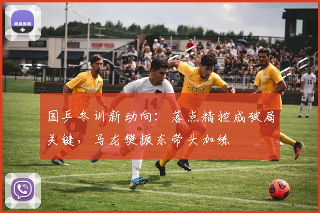 国乒冬训新动向：落点精控成破局关键，马龙樊振东带头加练 - 88看球推荐