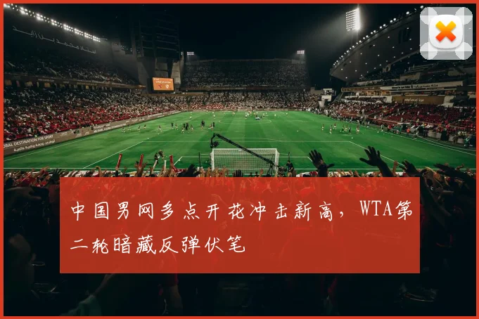 中国男网多点开花冲击新高，WTA第二轮暗藏反弹伏笔 - 88看球推荐