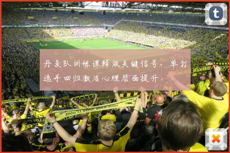 丹麦队训练课释放关键信号,单打选手回归激活心理层面提升 - 88看球推荐